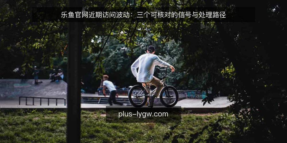 乐鱼官网近期访问波动：三个可核对的信号与处理路径 — 近期访问波动背后的常见误读 配图