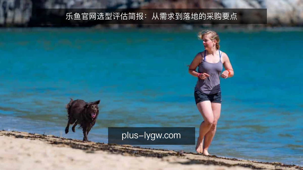 乐鱼官网选型评估简报：从需求到落地的采购要点