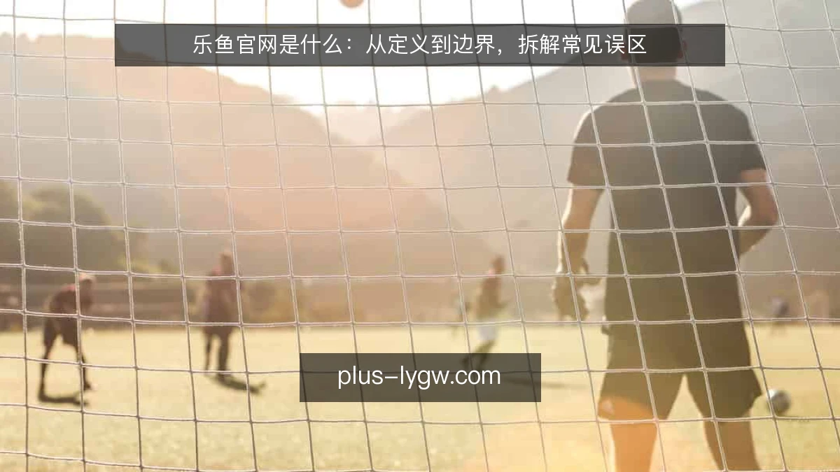 乐鱼官网是什么：从定义到边界，拆解常见误区